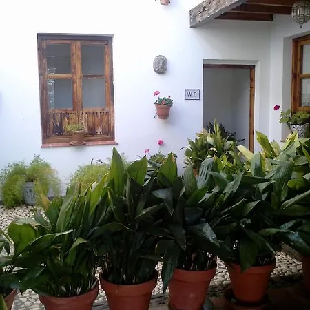 Apartamento Cuevas Pedro Antonio De Alarcon Guadix